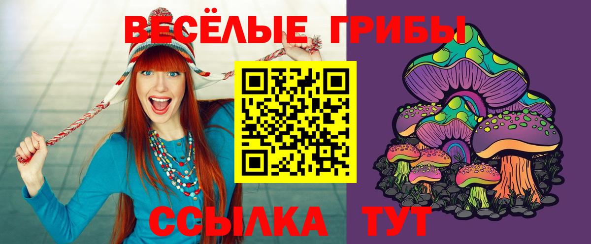 Псилоцибиновые грибы Psilocybe Сертолово